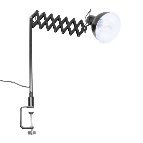 Extensible con morza 70cm color negro